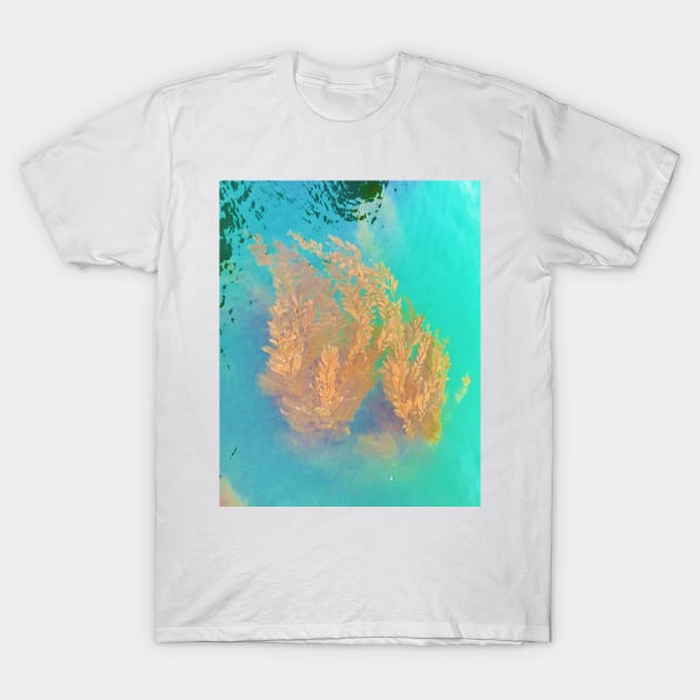 Kelp Floating in the Pacific Ocean T-Shirt by ephotocard